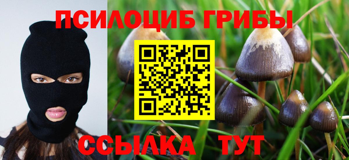 Псилоцибиновые грибы ЛСД  Вход с VPN  Псилоцибиновые грибы Magic Shrooms  как найти   Воркута 