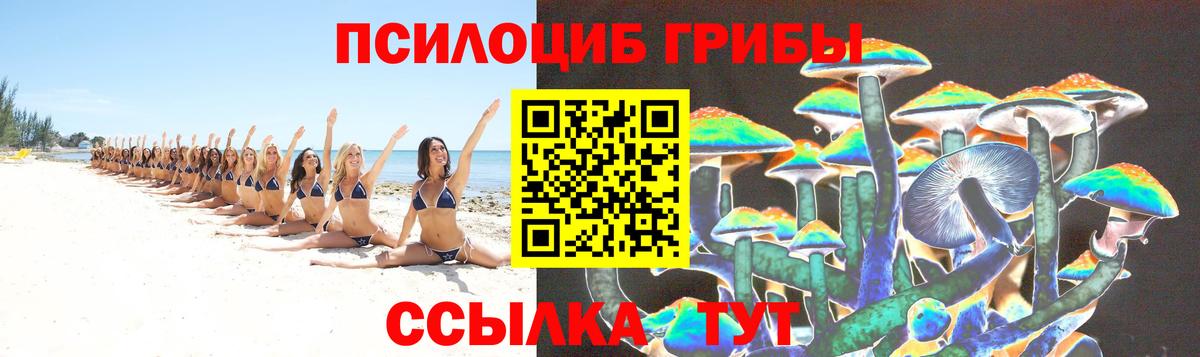 Галлюциногенные грибы MAGIC MUSHROOMS Воркута